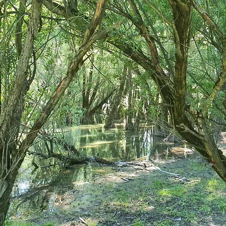 Domus Angela Holiday home