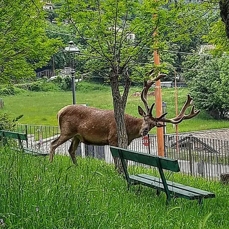 Domus Angela Holiday home *