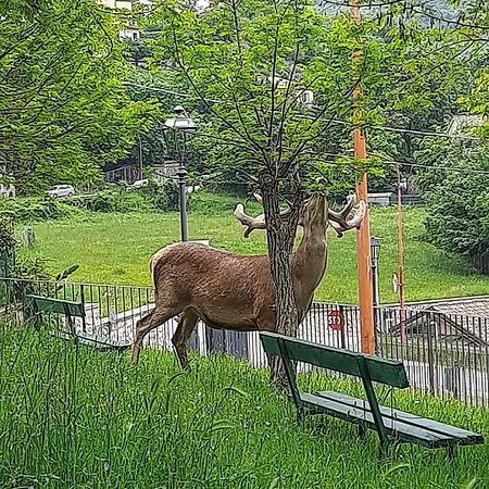 Holiday home Domus Angela *