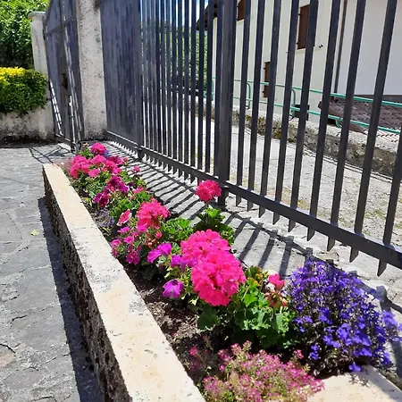 Domus Angela Barrea
