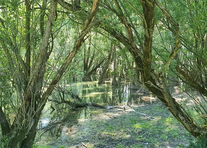 Domus Angela Casa vacanze