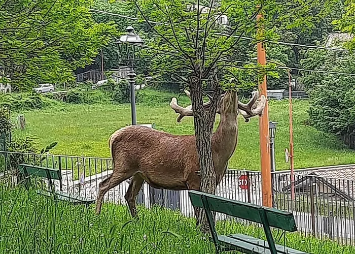 Casa vacanze Domus Angela *