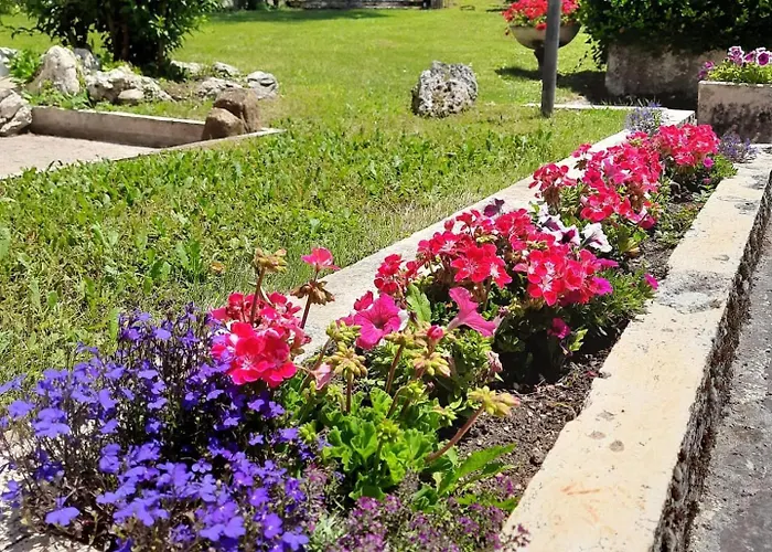 Domus Angela Casa vacanze *